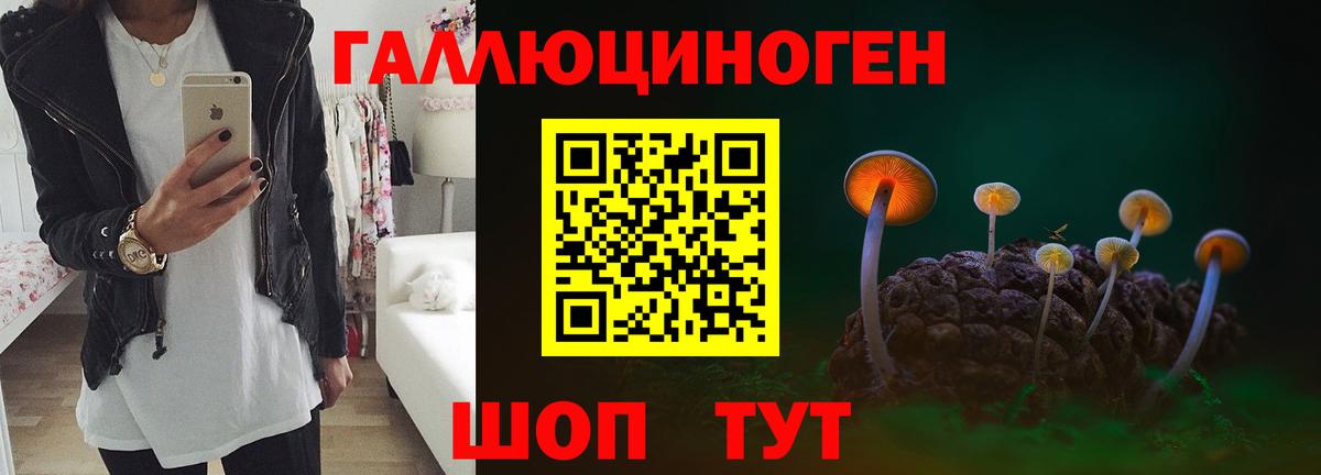 Жигулёвск  Псилоцибиновые грибы Psilocybe  Вход с VPN  Галлюциногенные грибы ЛСД 